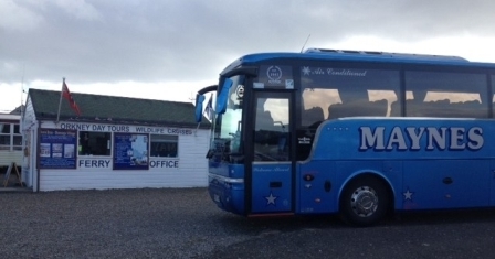 Maynes Coach